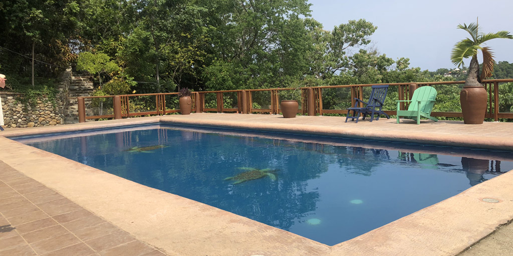 Swimming pool at Hotel La Buena Vista